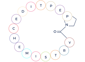 Custom peptide synthesis_Head to tail