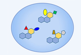 late-stage-functionalization.jpg