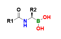 carb4image6.png