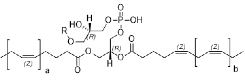 carb6img11.png