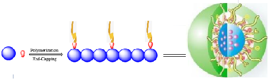 carb6img15.png