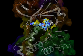 Computer-aided-Drug-Design.jpg