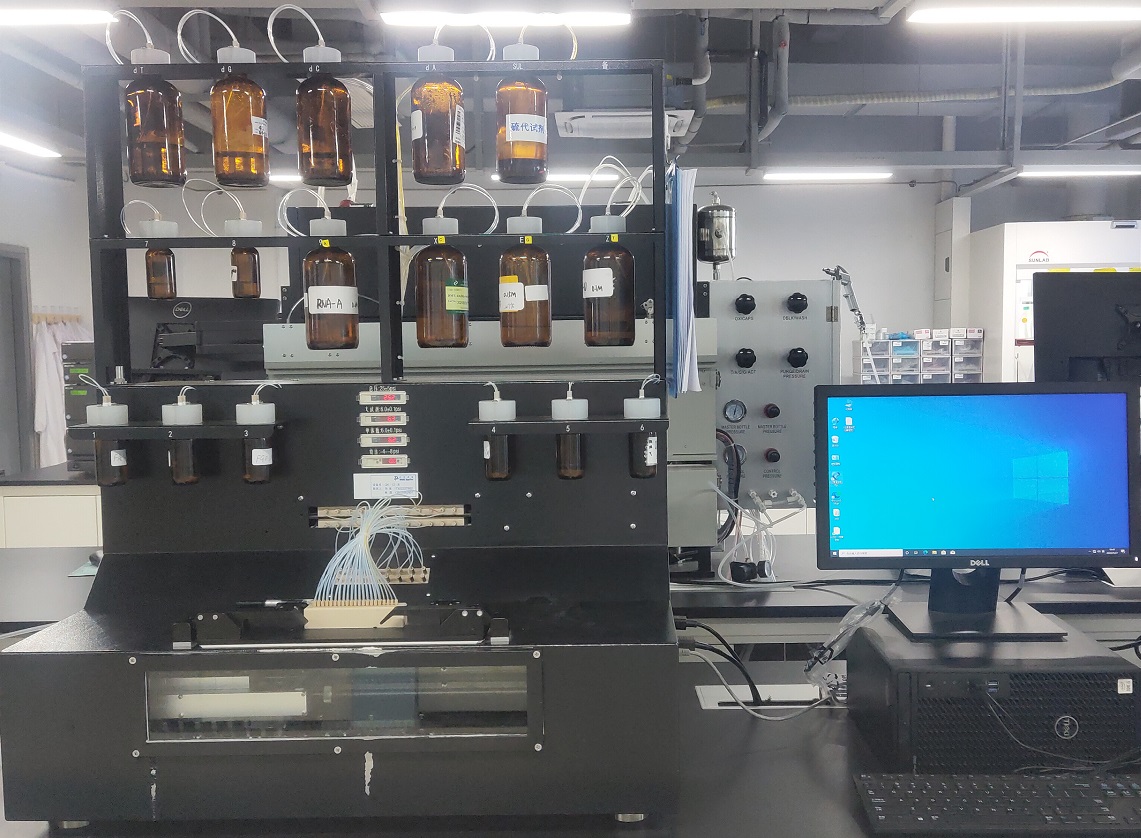 oligo custom synthesis