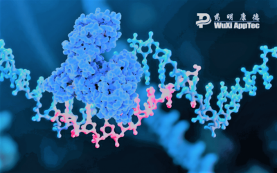 A Step Forward in Oligo Therapy: A New Assay for Testing Oligo Stability in Plasma